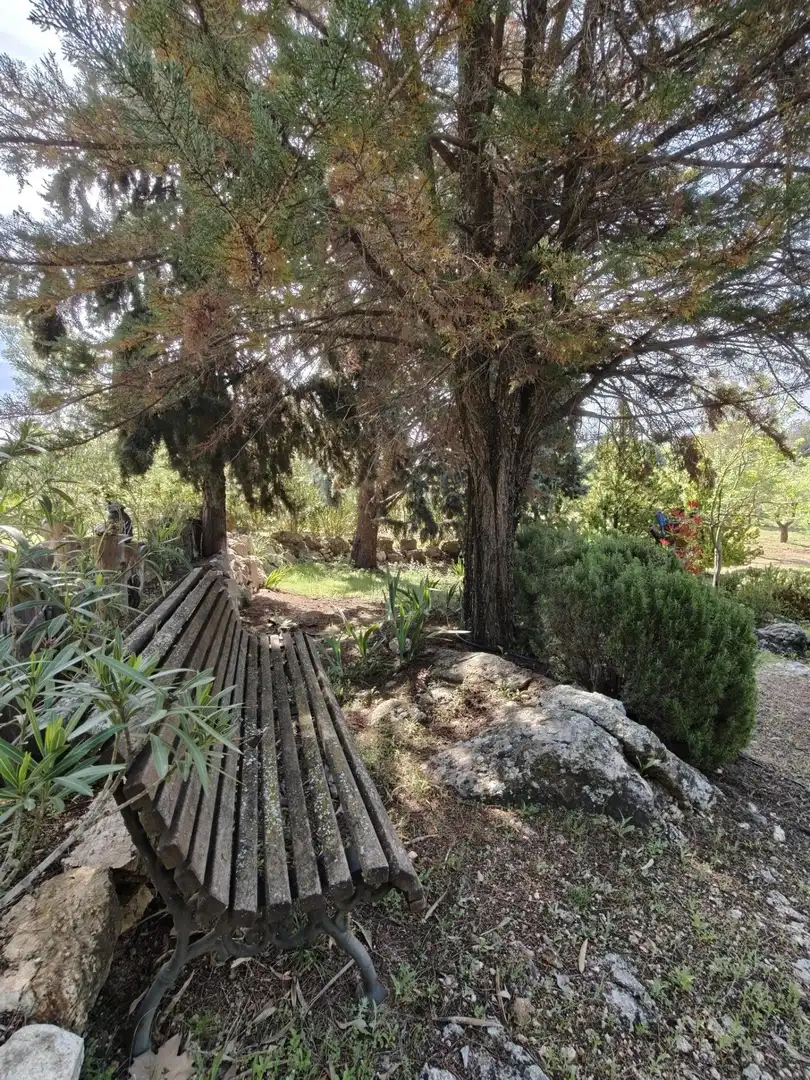 Chalet en venta en CERRO PALOS poligono 45 parcela 63, imagen 12