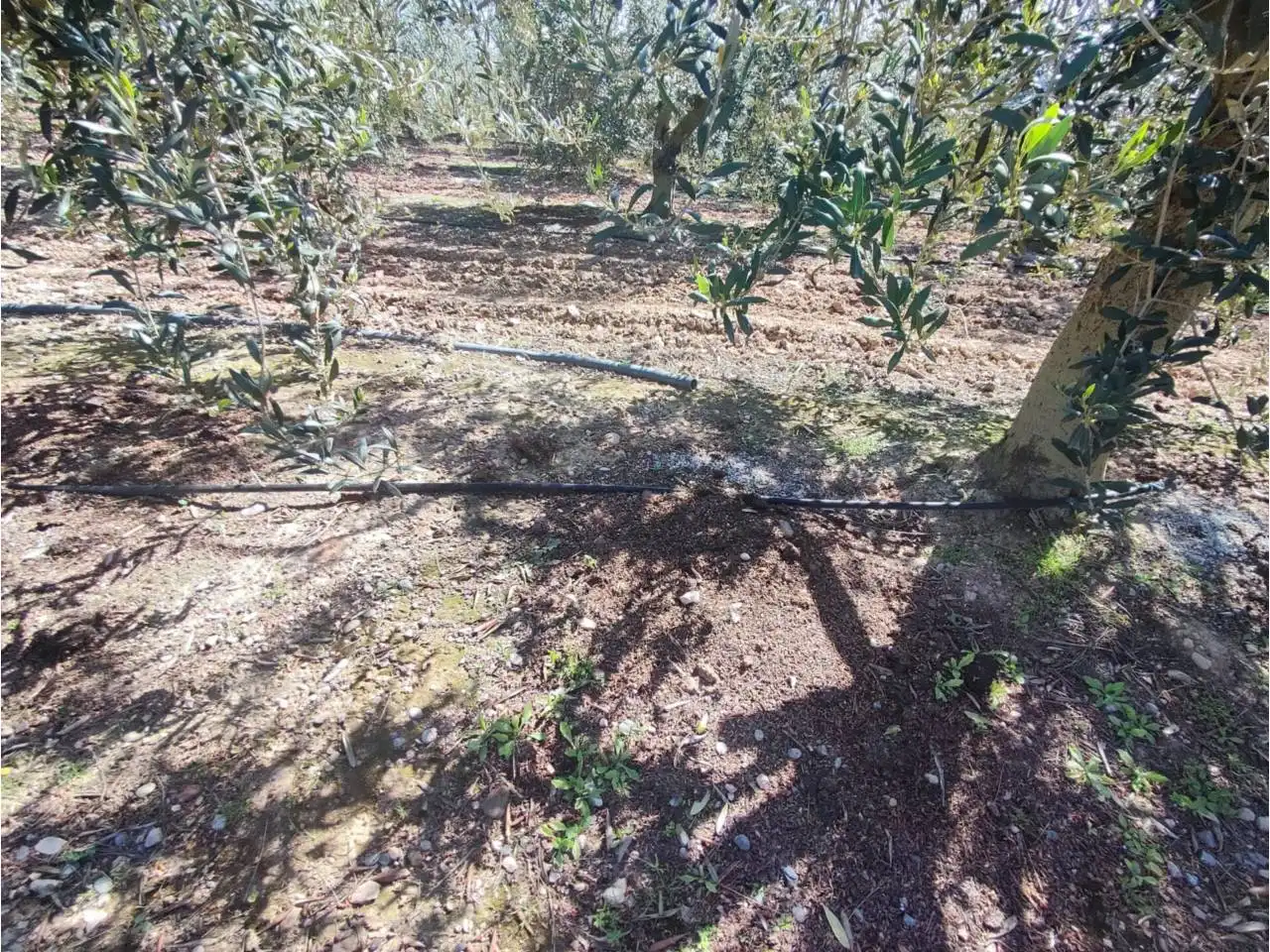 Terreno en venta en Zaidín