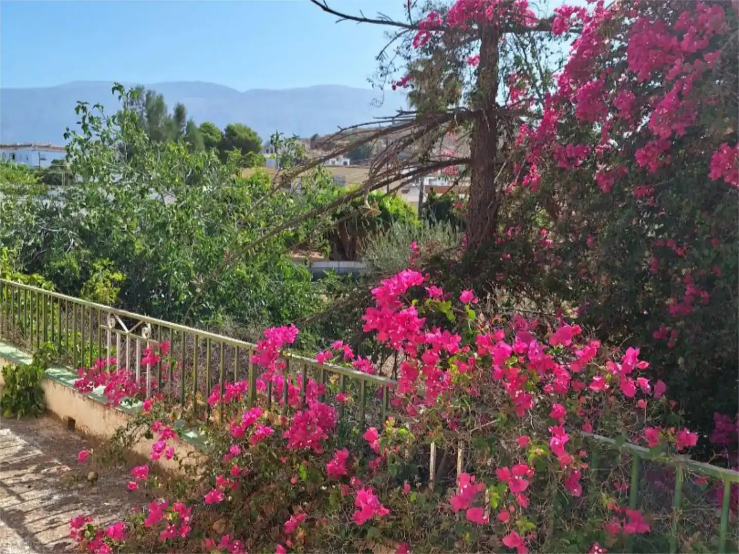 Jardí de Finca rústica en venda en Berja