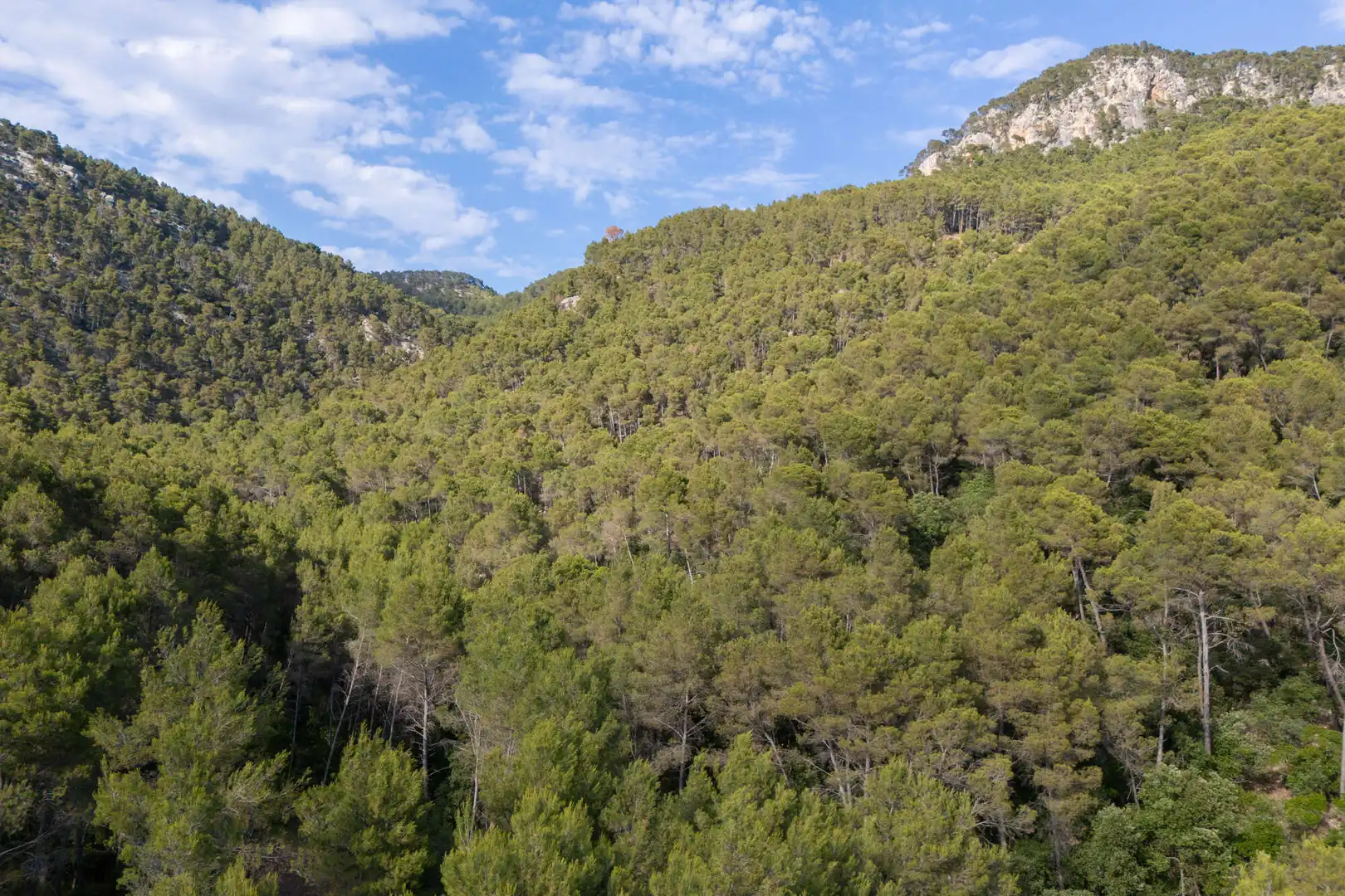 Landhaus zum Verkauf in Santa María del Camí, imagen 26