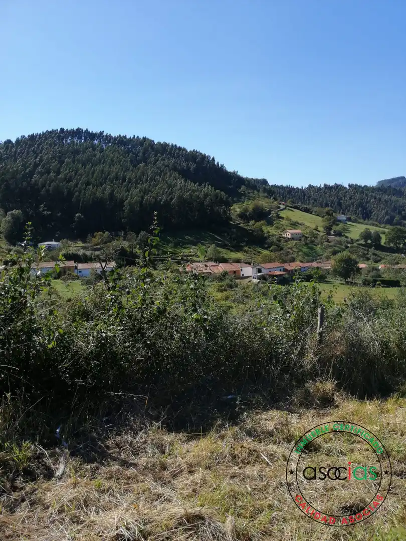 Terreno rustico in vendita a Lugar el Fonduxu, imagen 13