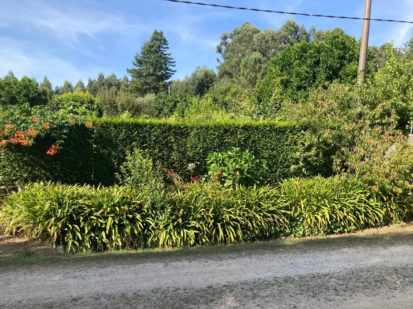 Jardí de Casa o xalet en venda en Dorneda