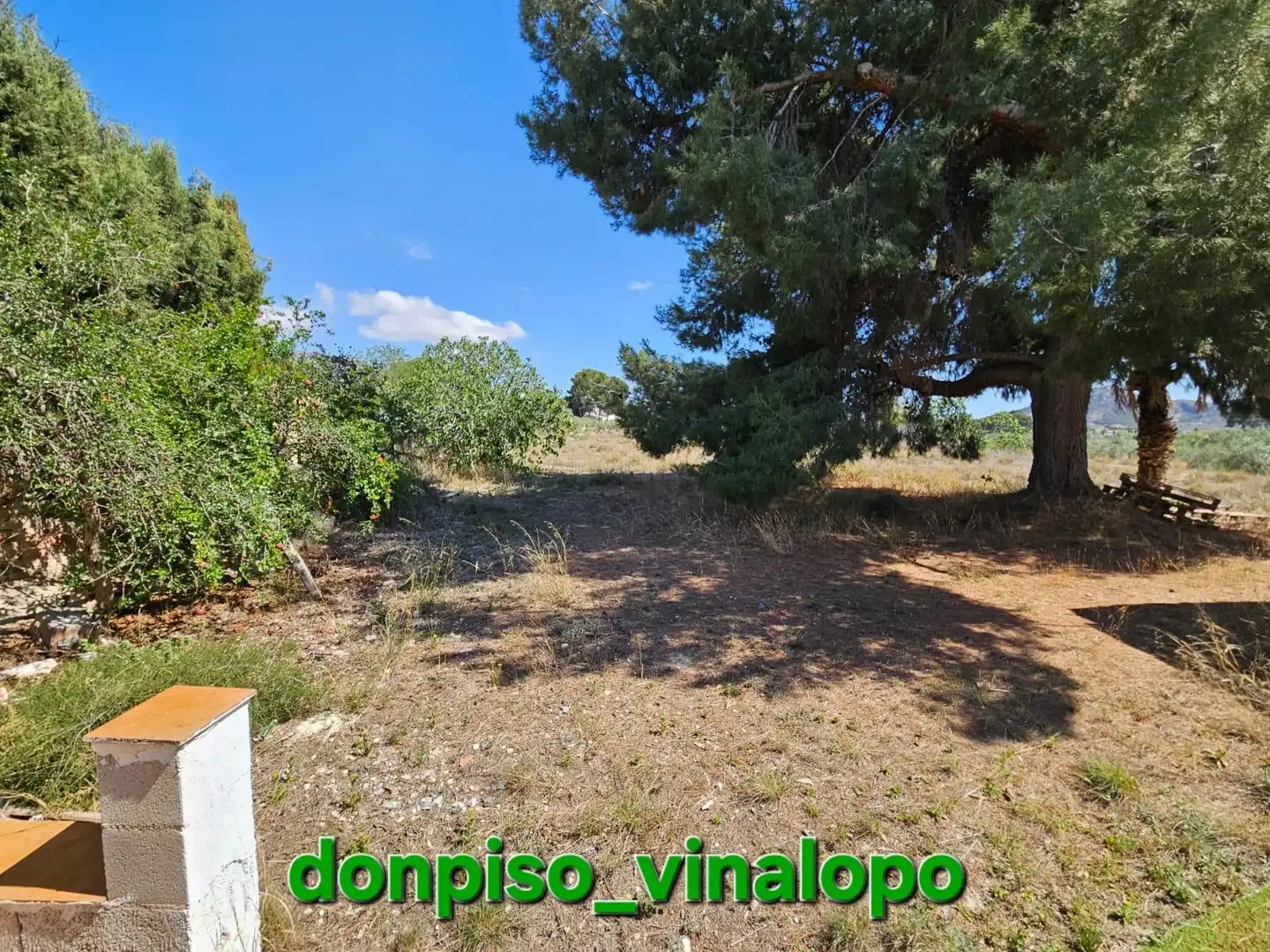 Maison rustique à vendre à Petrer, imagen 8