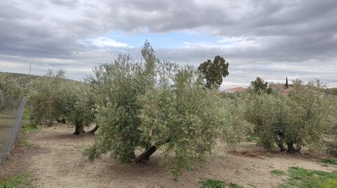 Foto 2 de Terreno en venta en N/a, -1, Valdeastillas - Fuentezuelas, Jaén Capital