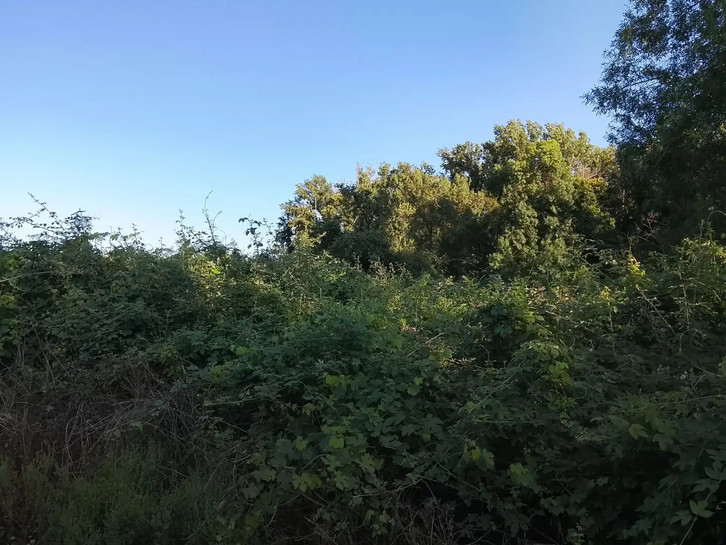 Terreni e lotti in vendita a Villanueva de la Vera, imagen 7