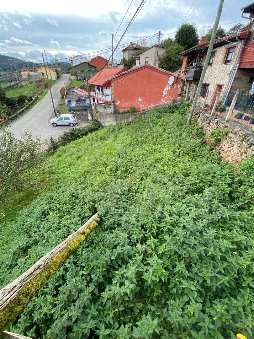House or chalet for sale in Langreo  with Private garden