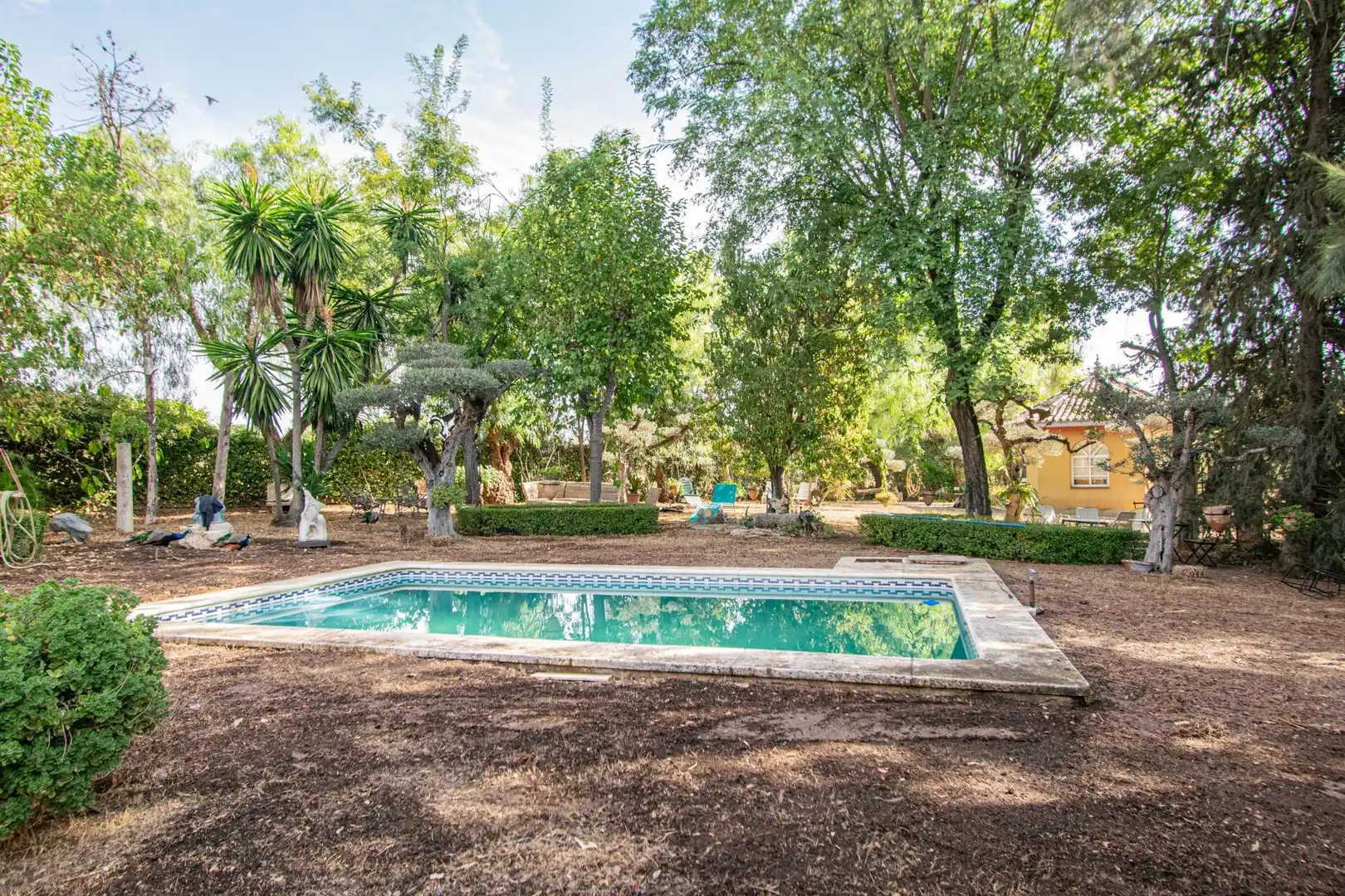 Schwimmbecken von Country house zum Verkauf in Mairena del Aljarafe mit Terrasse, Schwimmbad und Balkon