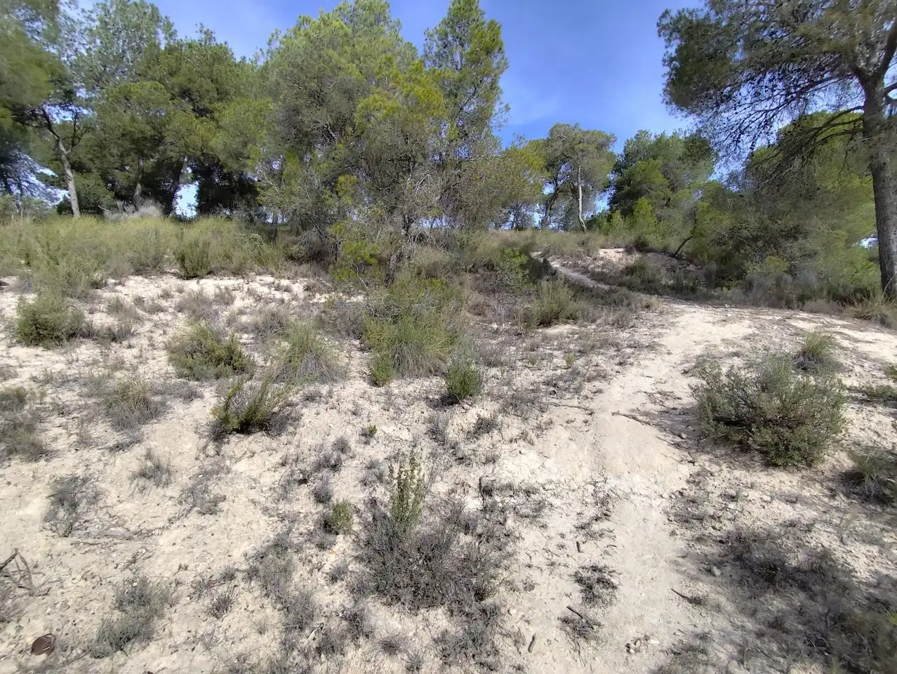 Terrenys i solars en venda a Tibi, imagen 5