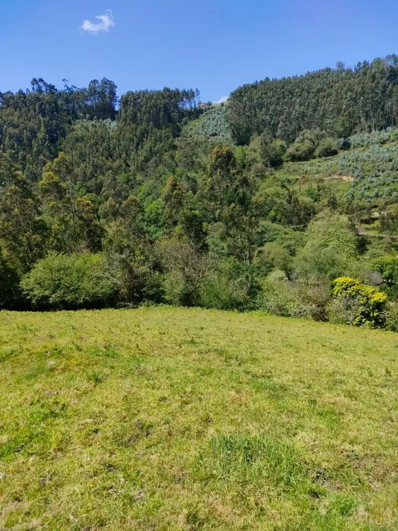 Finca rústica en venta en Villaviciosa