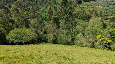 Foto 5 de Finca rústica en venta en Parroquias suroccidentales, Villaviciosa