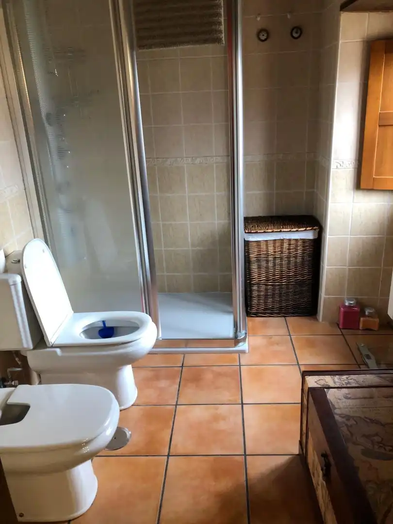 Bathroom of Houses for sale in Cubillos del Sil  with Terrace and Furnished