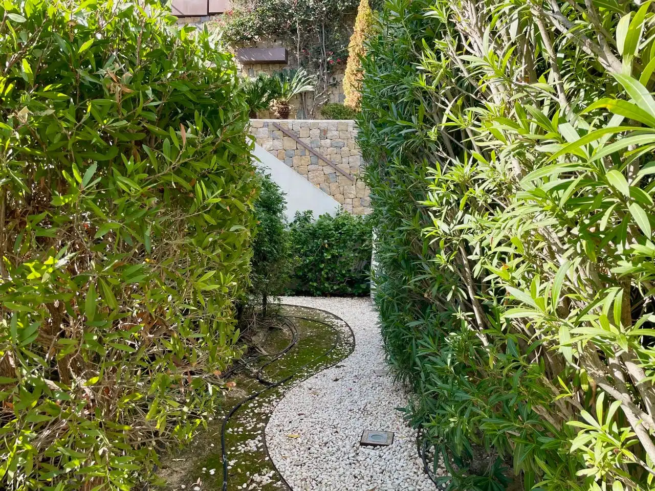 Jardín de Casa o chalet en venta en Benidorm con Piscina