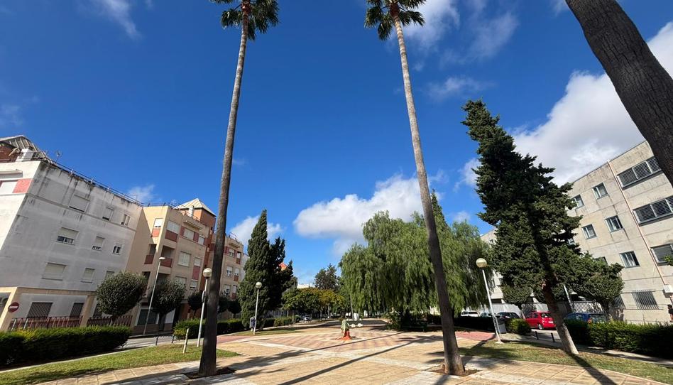 Photo 1 of Flat for sale in Norte - Blanca Paloma, Cádiz