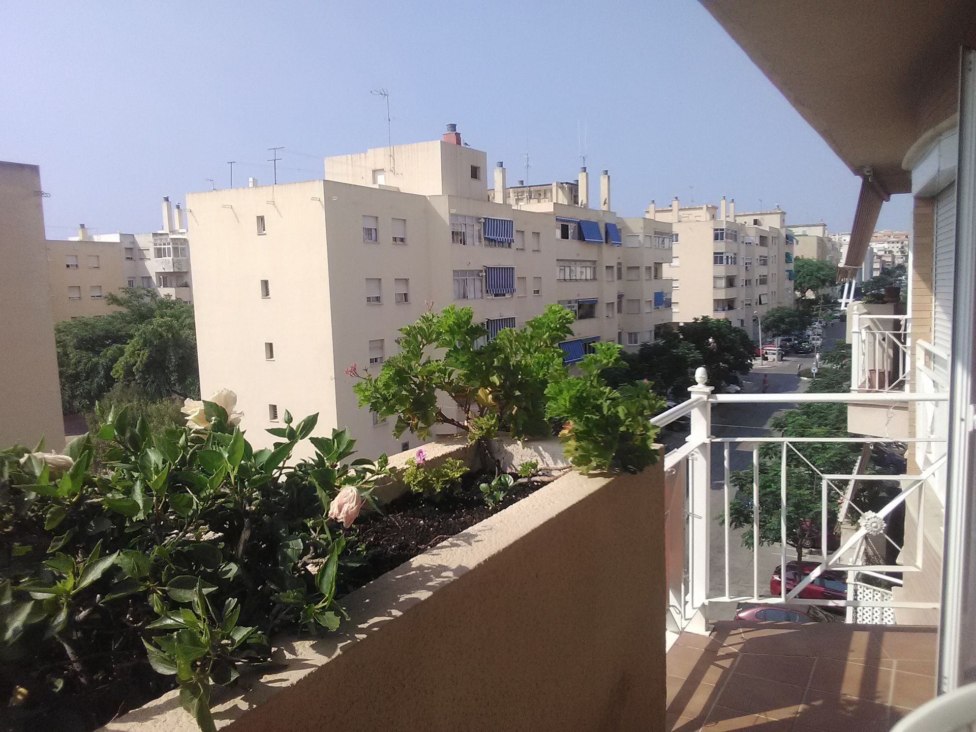 Exterior view of Flat to rent in Estepona  with Terrace, Furnished and Balcony