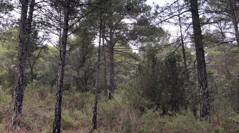 Foto 2 de Residencial en venda a Avenida de Trillo, 176, Trillo, Guadalajara