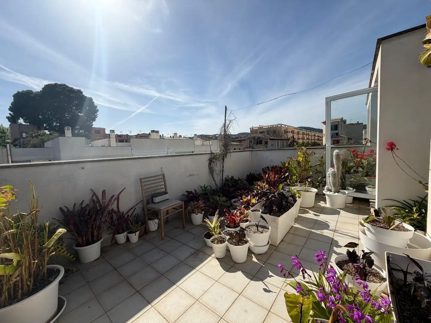 Terrassa de Casa adosada en venda en  Palma de Mallorca amb Aire condicionat, Calefacció i Jardí privat