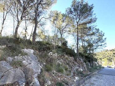 Terreno residenziale in vendita a Vinyes 10