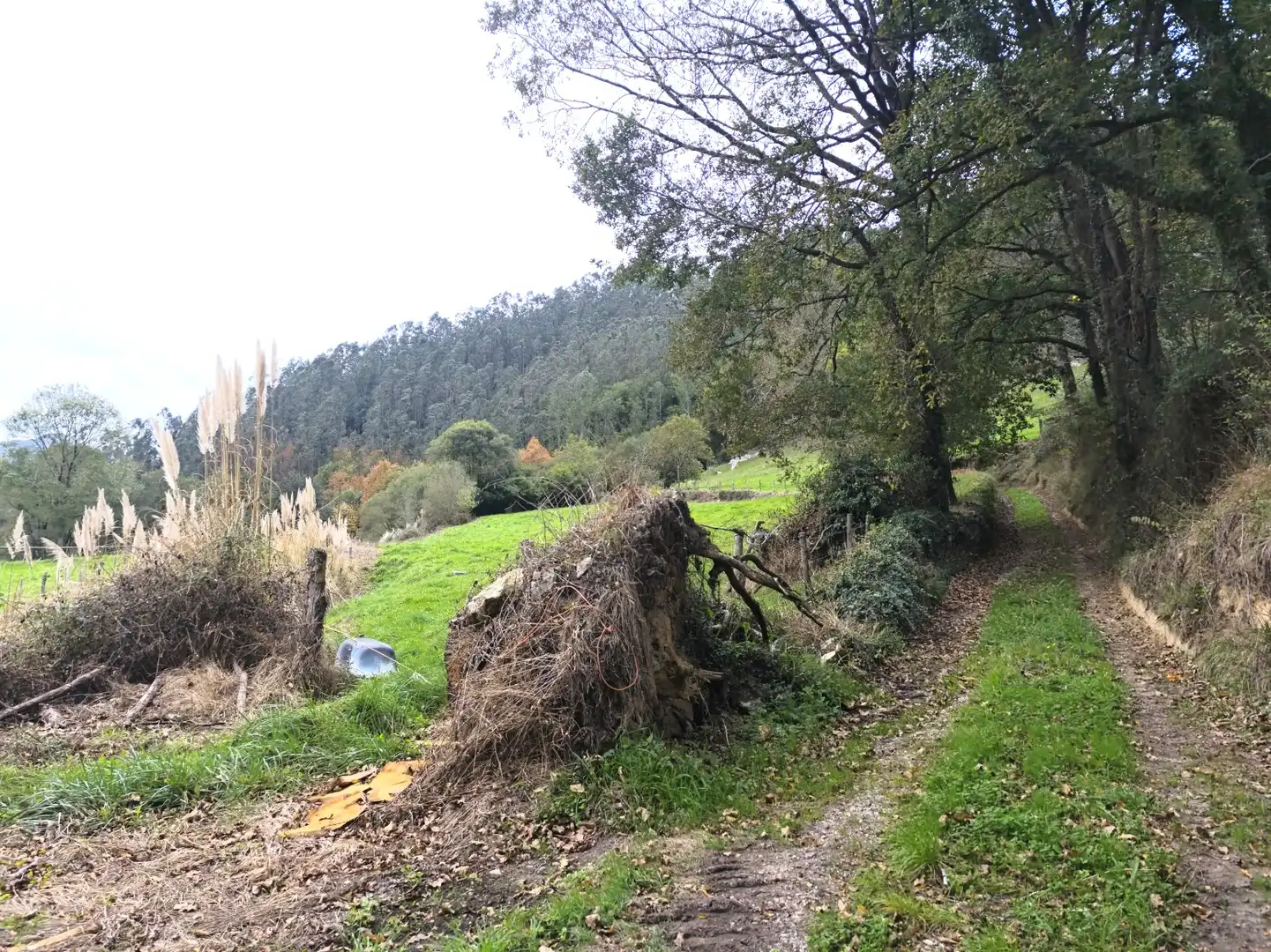 Terreno rústico en venta en Cuevas Las - Las Cuevas, imagen 5