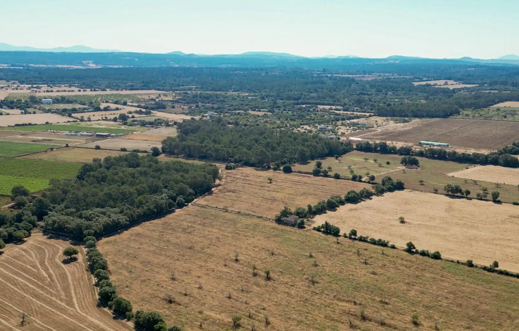 Terreny rústic en venda a Sencelles, imagen 6