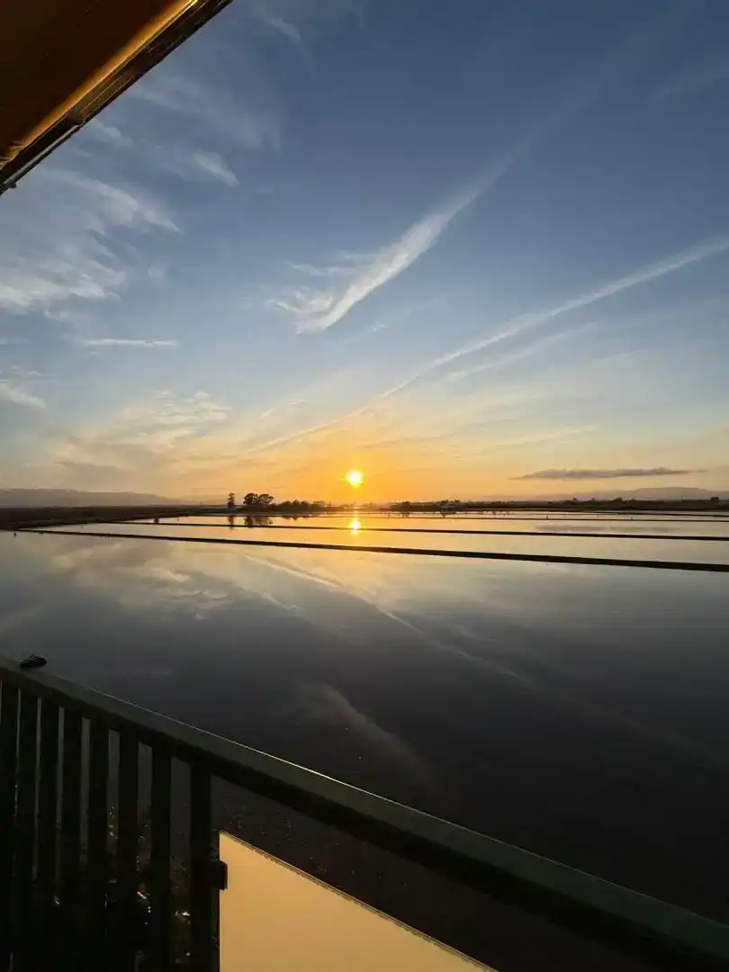 Vista exterior de Piso en venta en Amposta con Aire acondicionado y Balcón