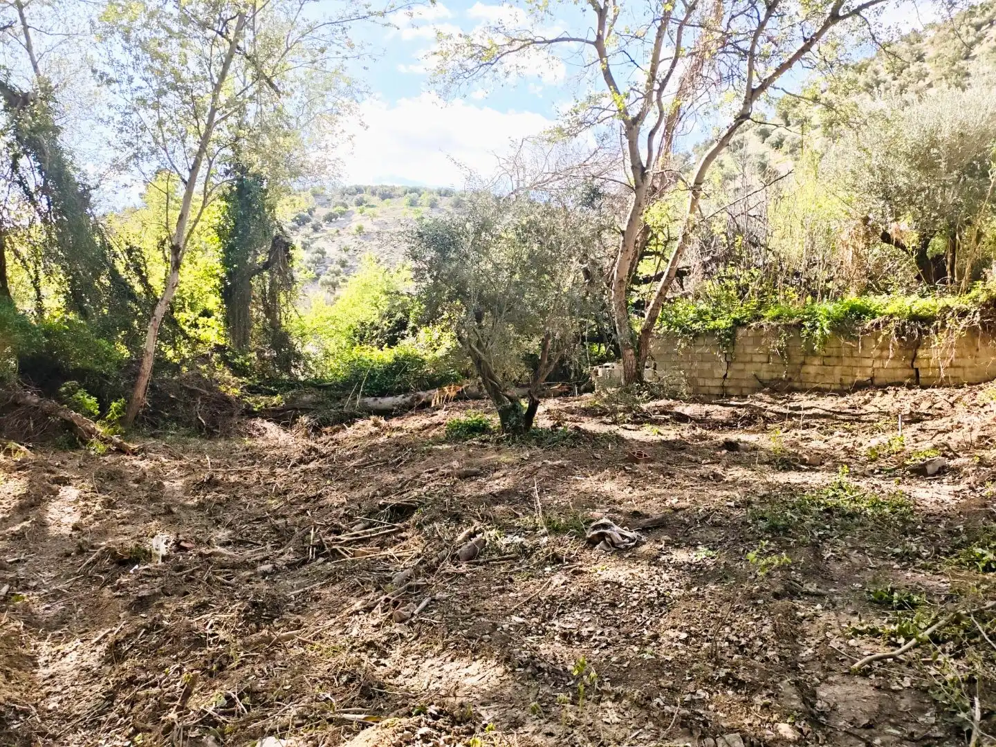 Grundstücke zum Verkauf in Jaén