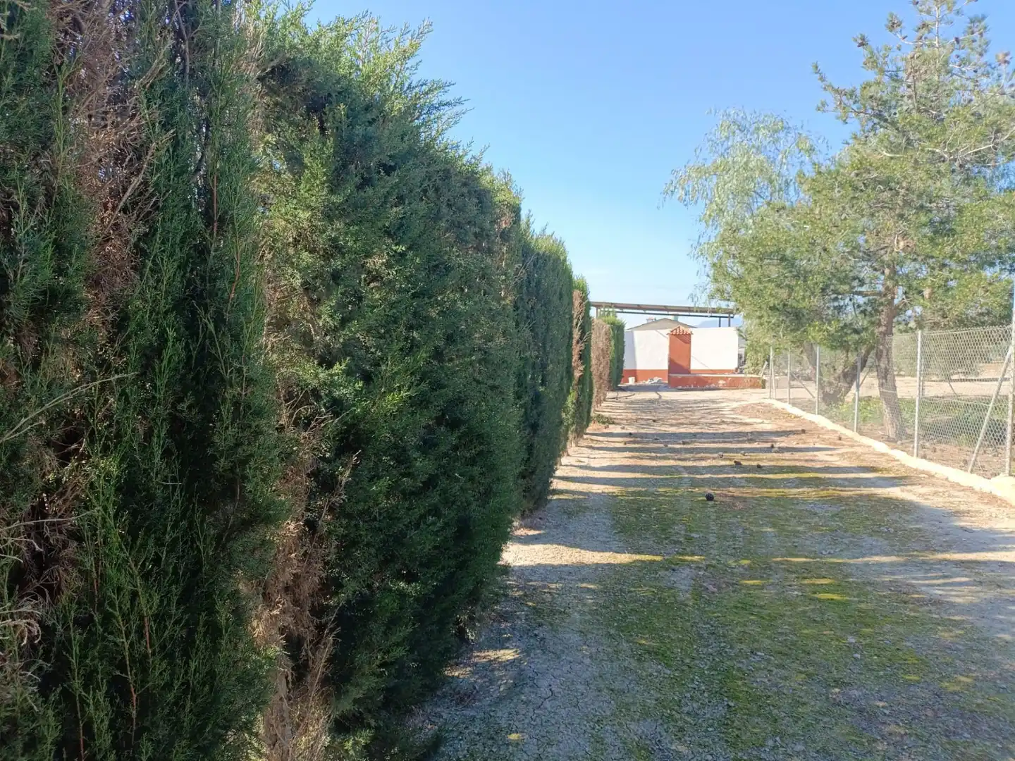 Garten von Haus oder Chalet zum Verkauf in Murcia mit Klimaanlage, Heizung und Privatgarten