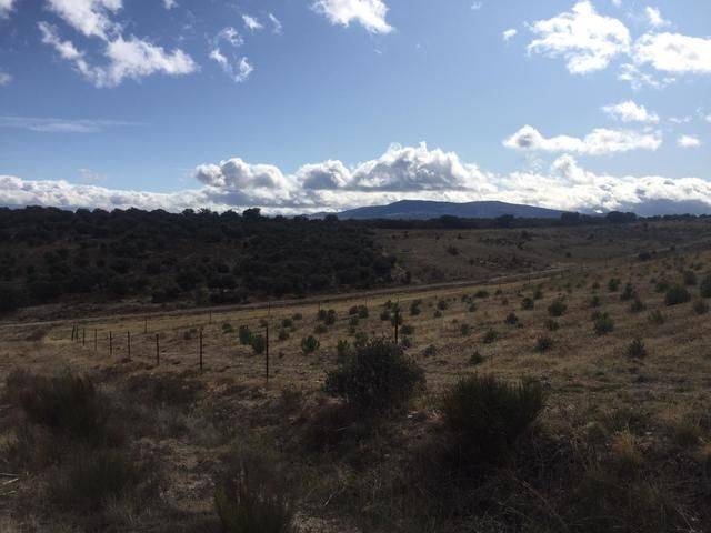 Terreno en Venta en N/A, -1 en Tolbaños