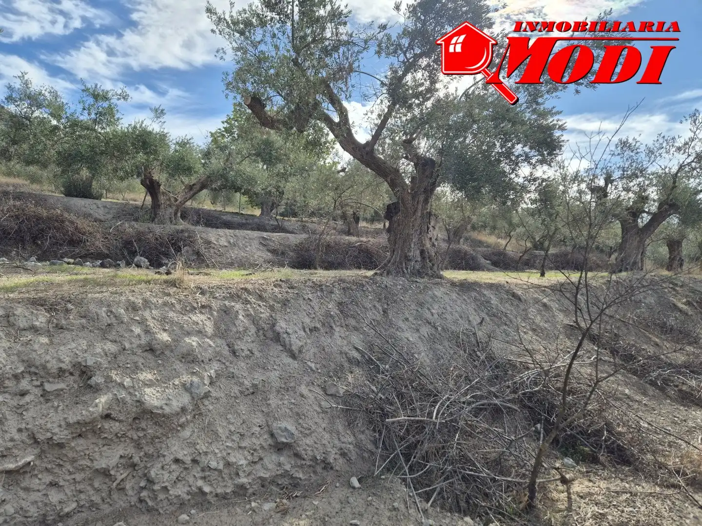 Lands and plots for sale in Dúrcal, imagen 3