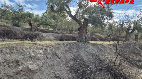 Oportunidad Única en Dúrcal! Finca Rústica con Encanto y Potencial Agrícola.Descubra esta magnífica finca rústica en el corazón de, immagine 3