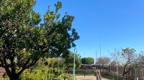 Foto 4 de Planta baixa en venda a Tablero Bajo - Arruzafilla, Córdoba Capital