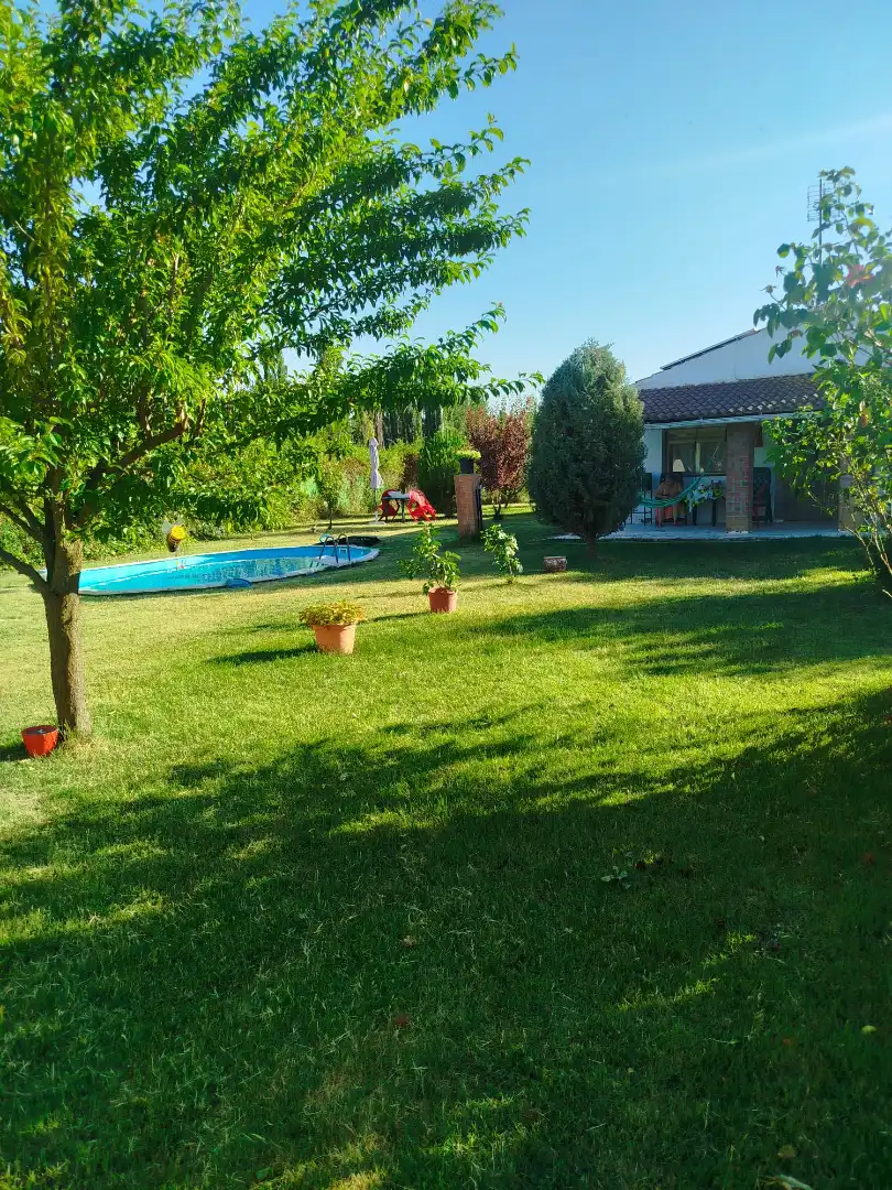 Jardí de Finca rústica en venda en Grijota amb Calefacció, Jardí privat i Piscina