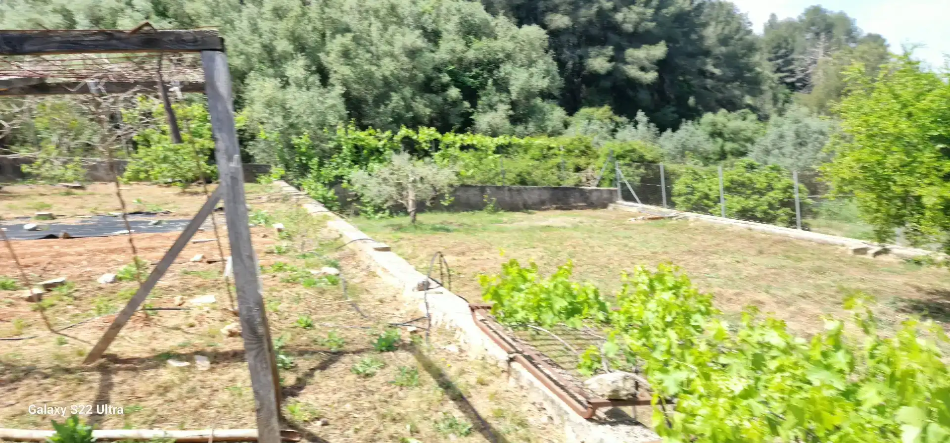 Finca rústica en venda en Simat de la Valldigna amb Aire condicionat, Piscina i Balcó