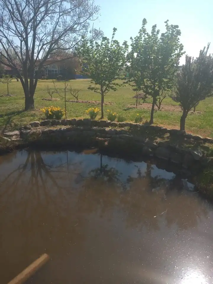 Swimming pool of Houses for sale in Coria