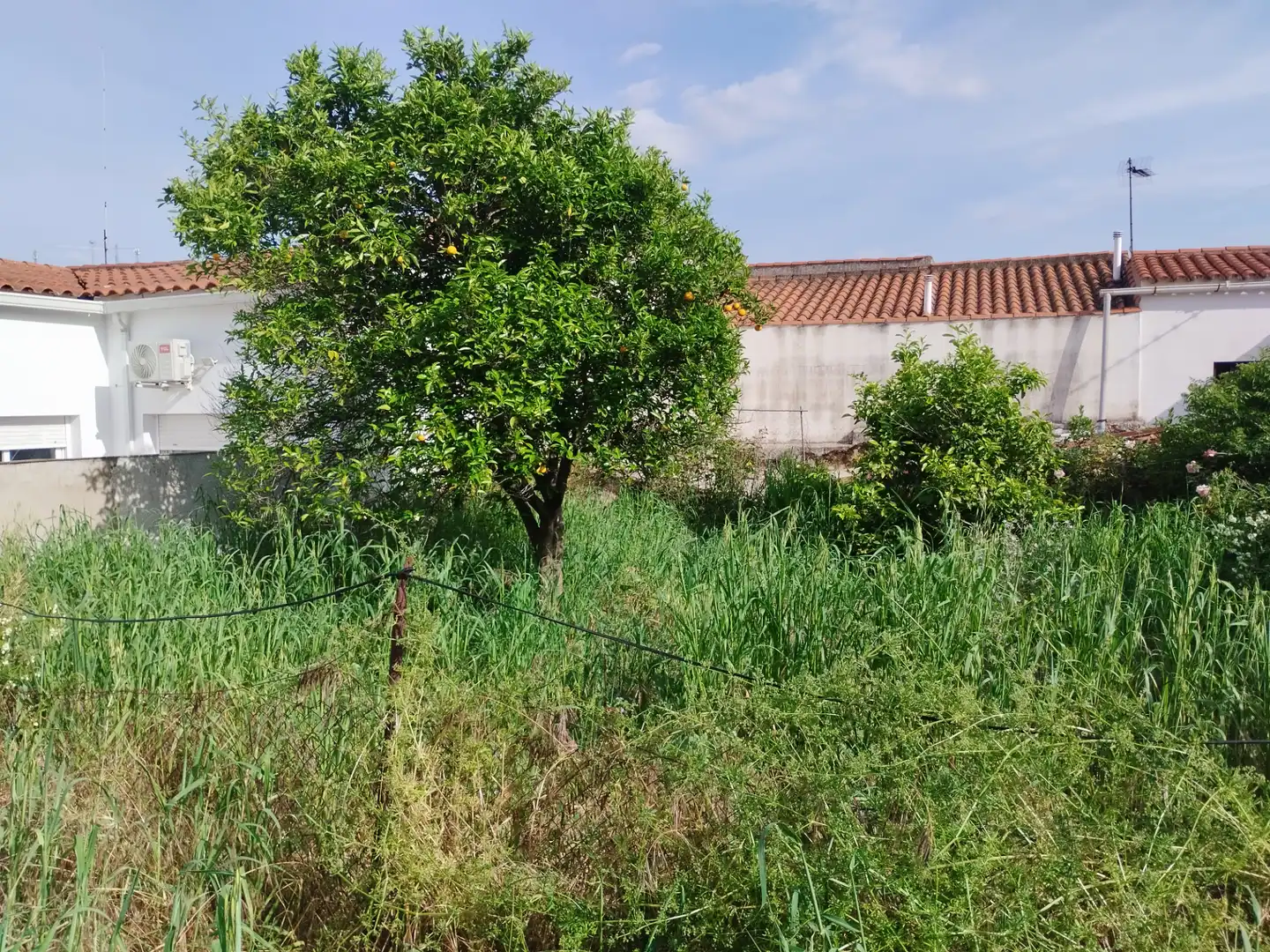 Casa con giardino in vendita a Jerez de los Caballeros, imagen 3