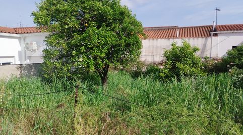 Foto 3 de Casa o chalet en venta en Jerez de los Caballeros, Badajoz