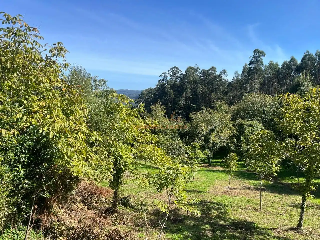 Casa amb jardí en venda a Cedeira, imagen 7