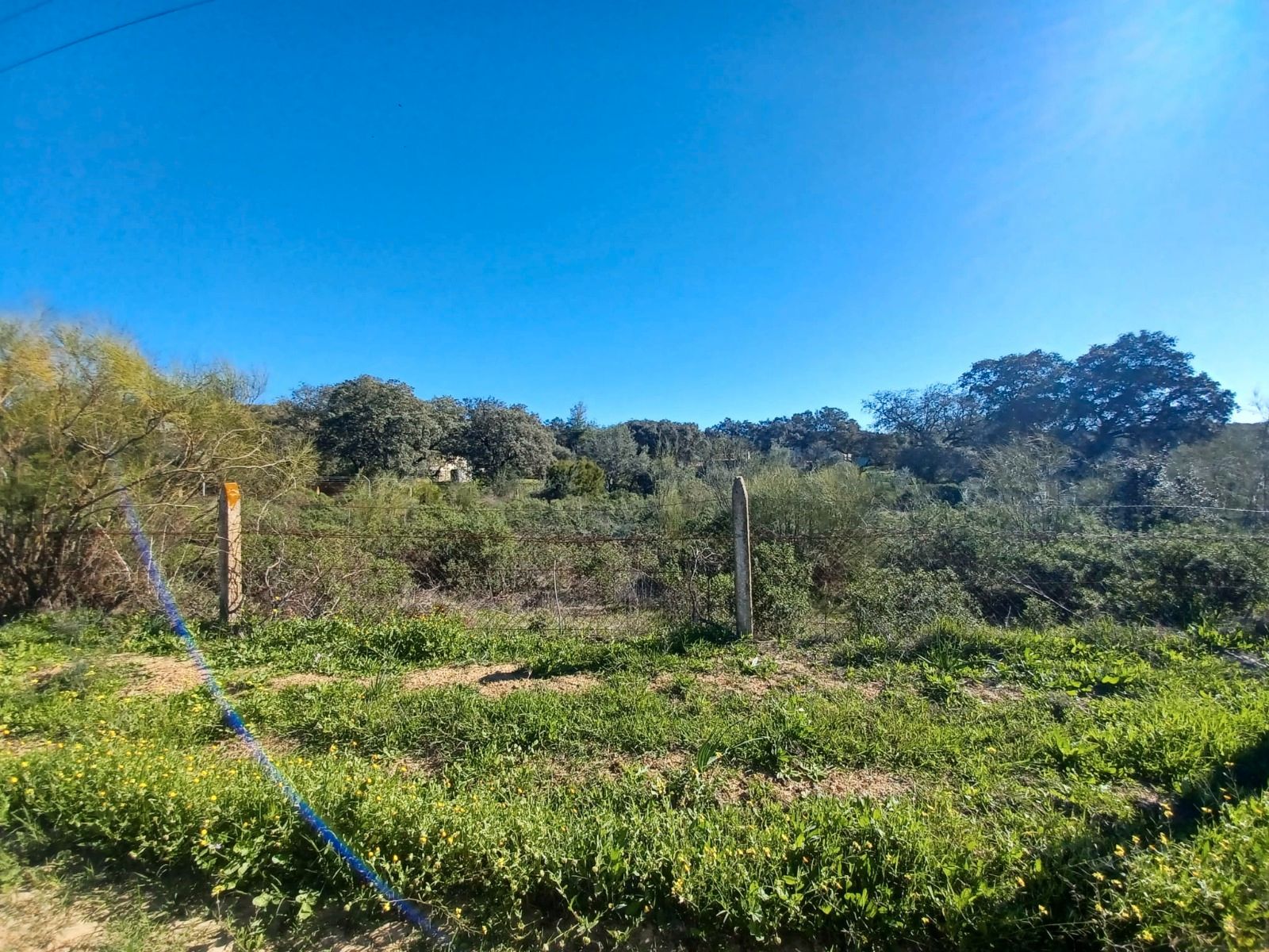 Land for sale in Castilblanco de los Arroyos