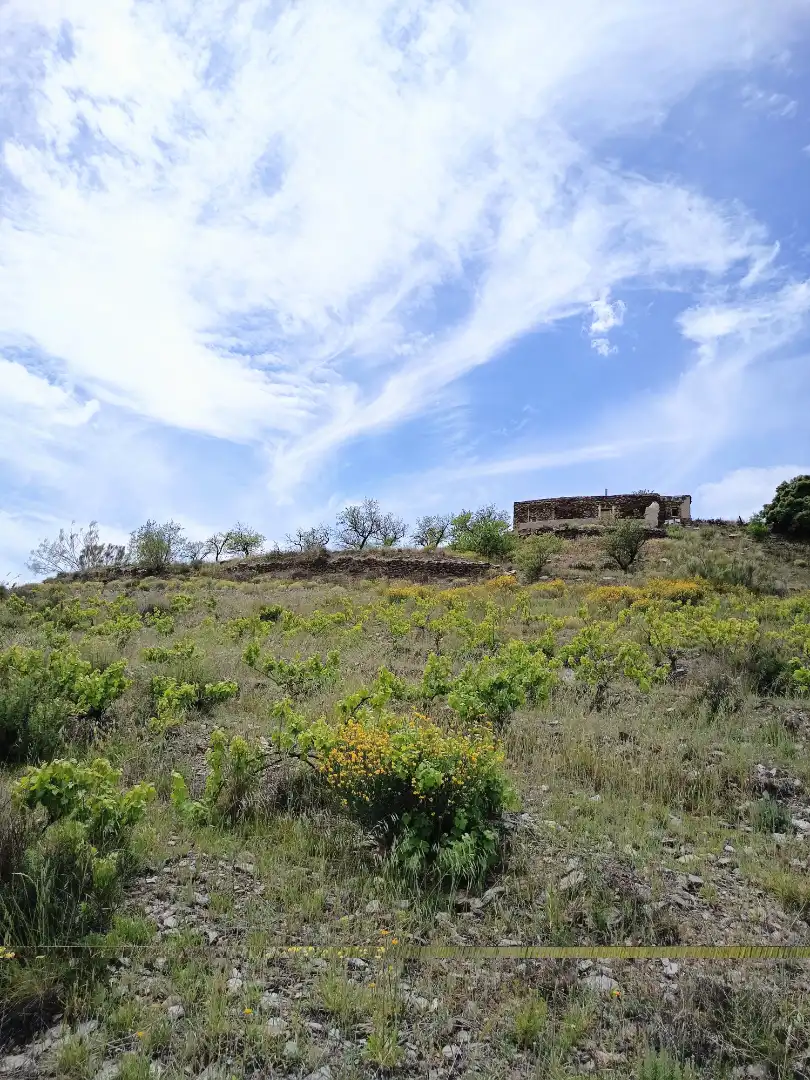 Terreno rustico in vendita a Alboloduy