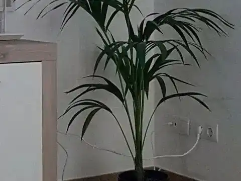 Garten von Wohnung zur Miete in Muxía mit Privatgarten, Abstellraum und Möbliert