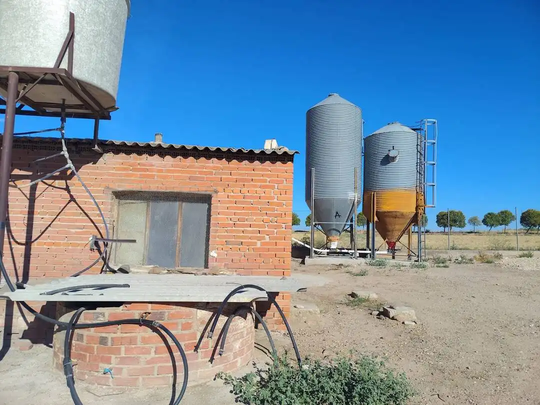 Nau industrial en venda a La Mata, imagen 10