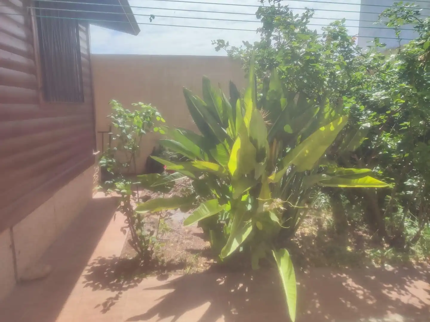 Villa in vendita a Moncófar Pueblo, imagen 7