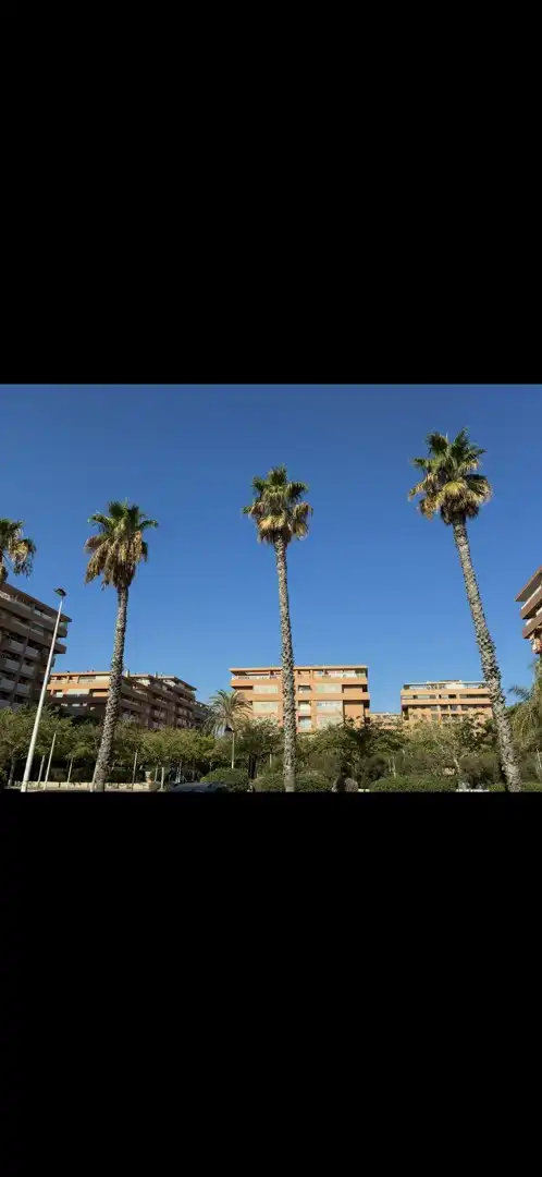 Apartament amb ascensor de lloguer a La Patacona, imagen 2