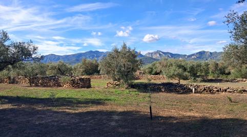 Foto 2 de Terreno en venta en Diseminado, S/n, Tivissa, Tarragona