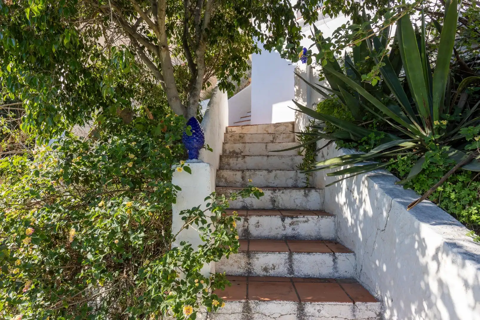 Vista exterior de Casa o chalet en venta en Almuñécar con Aire acondicionado, Jardín privado y Terraza