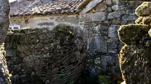 Foto 3 de Casa o xalet en venda a Ponte Caldelas, Pontevedra