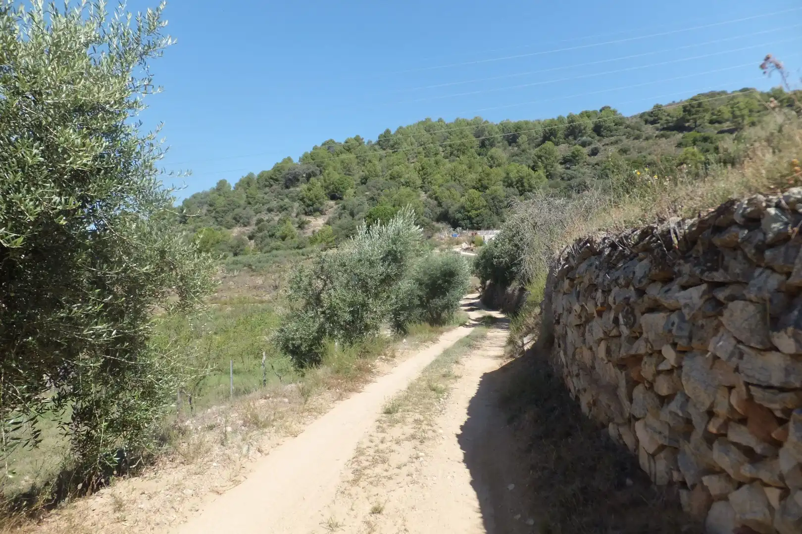Exterior view of Land for sale in Alforja