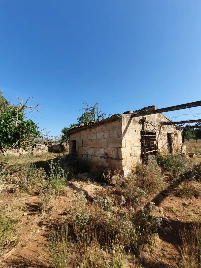 Vista exterior de Finca rústica en venda en Santa Margalida