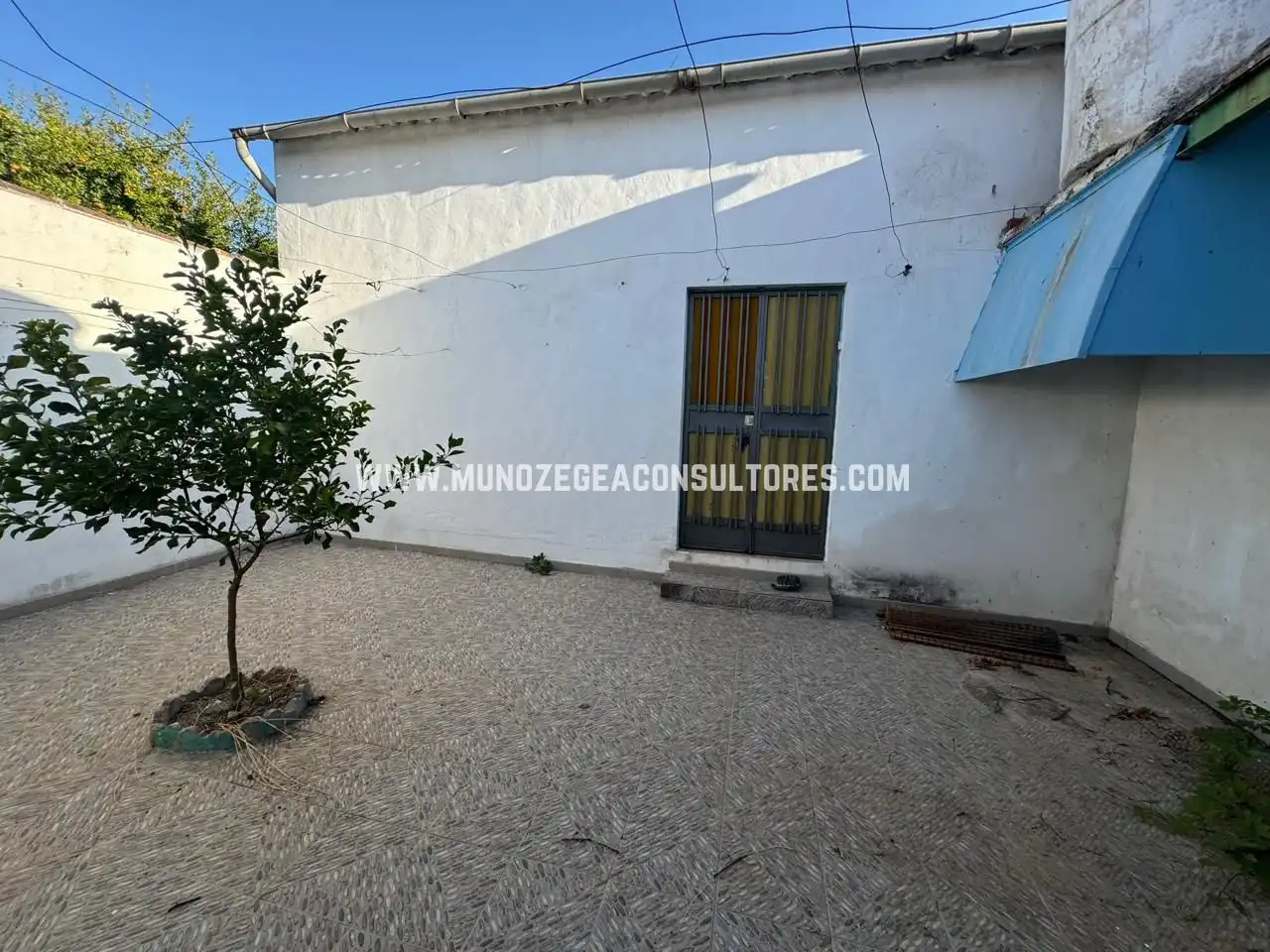 Vista exterior de Casa o chalet en venta en Lucena con Jardín privado y Piscina