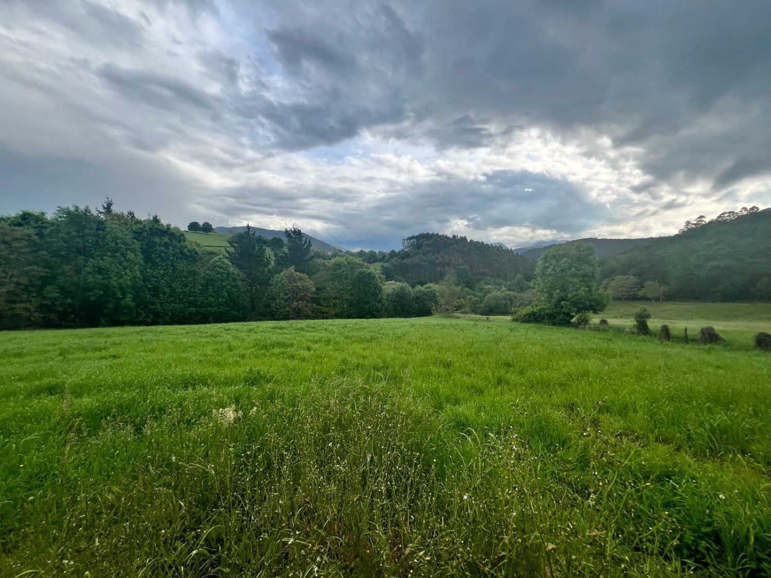 Residential for sale in Rasines