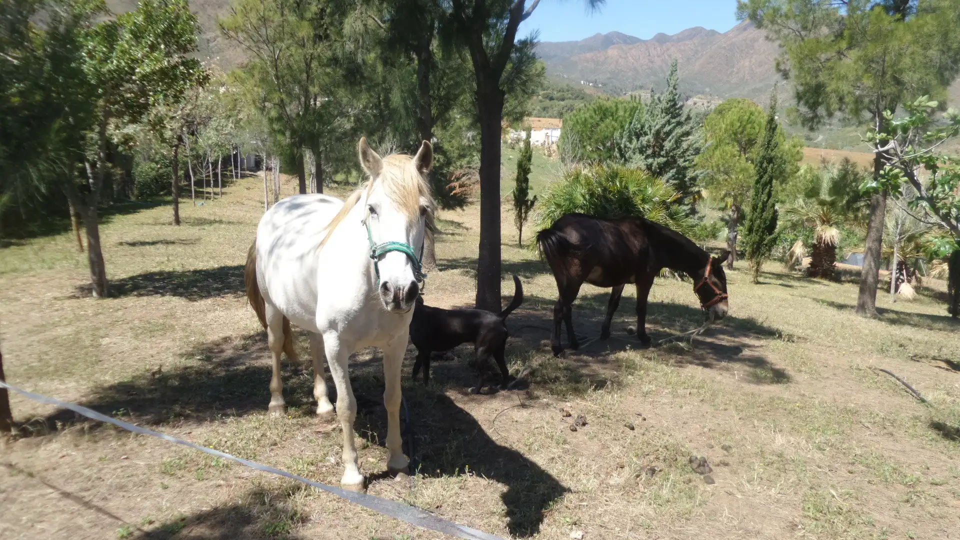 Casa amb terrassa en venda a Valtocado - La Alquería - La Atalaya, imagen 37